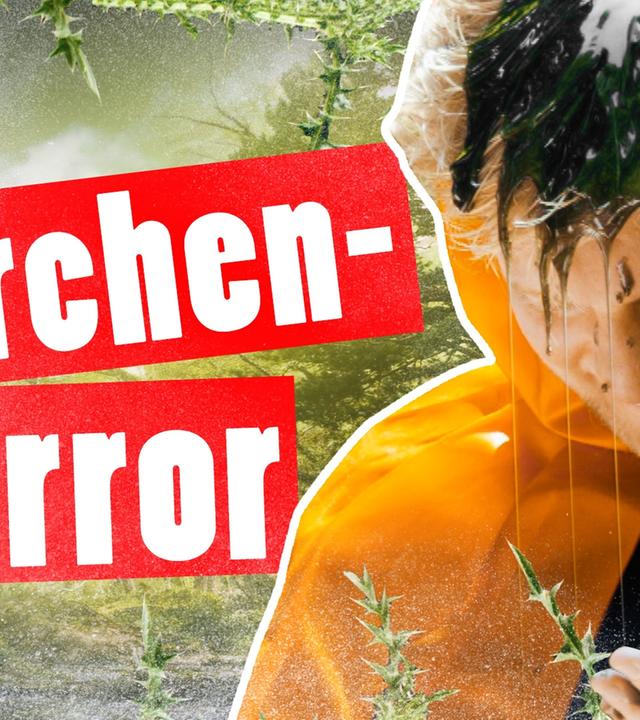 Leiden im Märchenwald: Drei fiese Märchen-Strafen für Marc -- „Das schaffst du nie!“