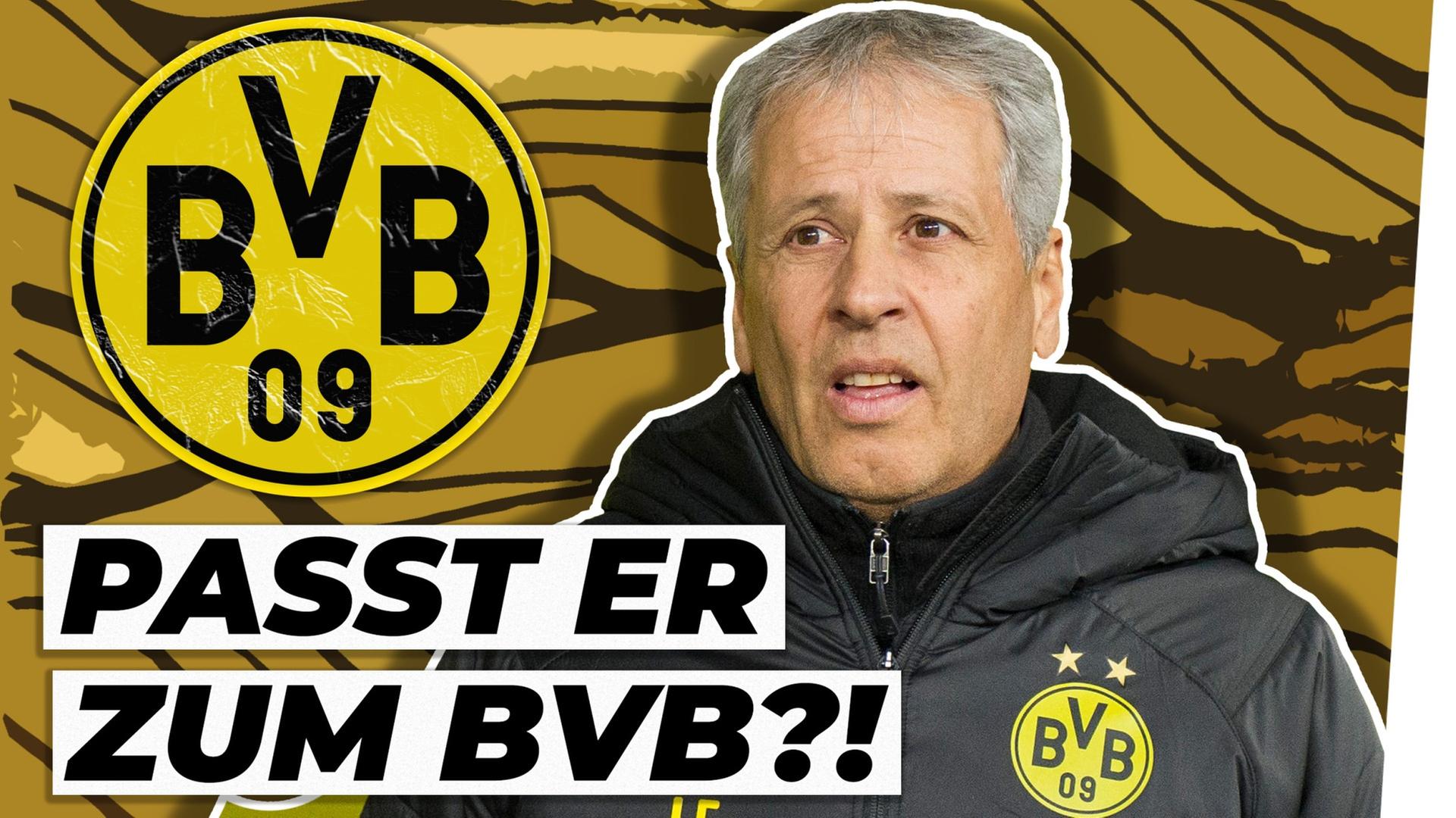 Lucien Favre: Fluch oder Segen für den BVB?!