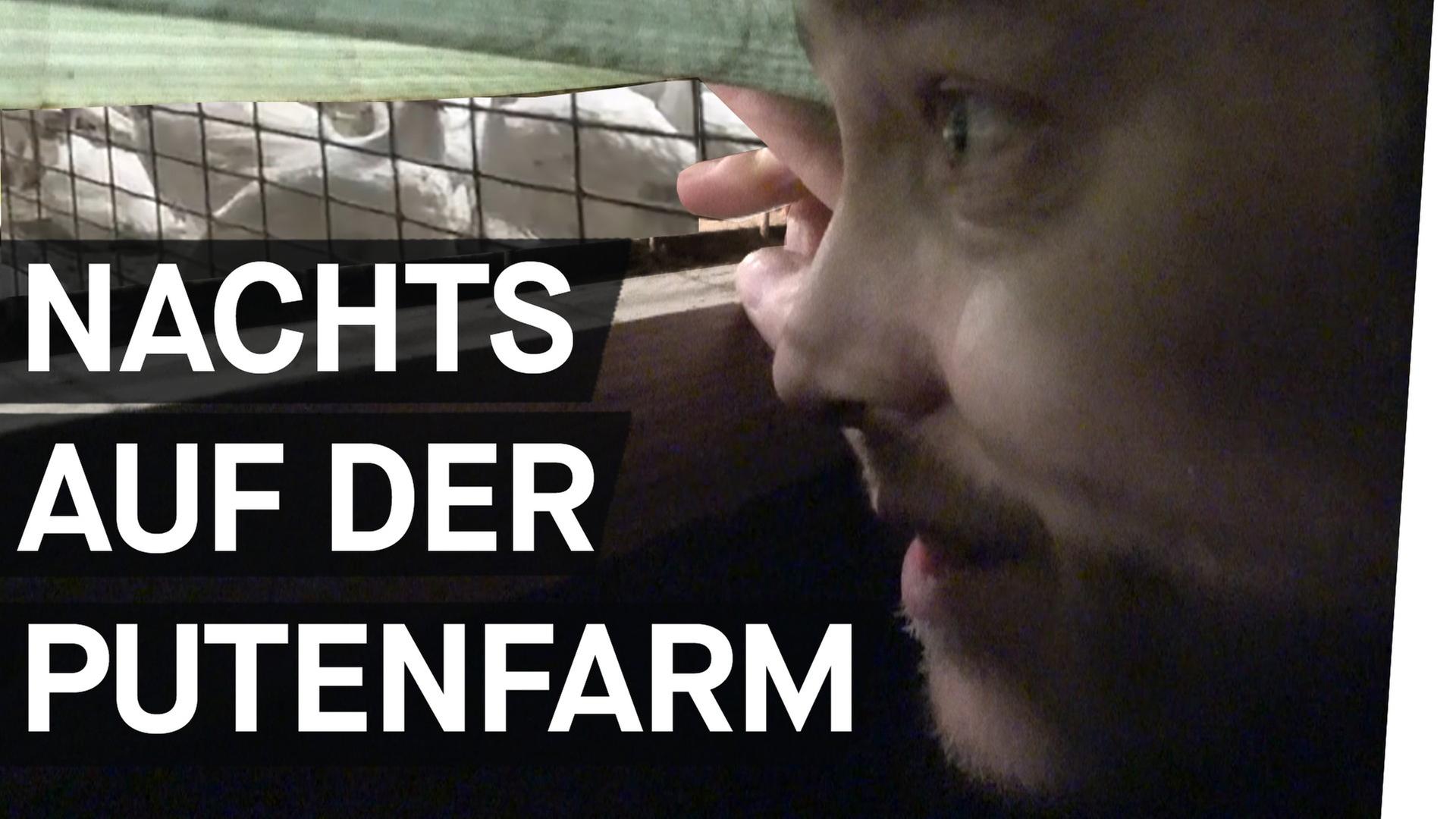 Massentierhaltung: Darf ich Tiere essen? - Warum lassen wir Tiere leiden? Folge 1