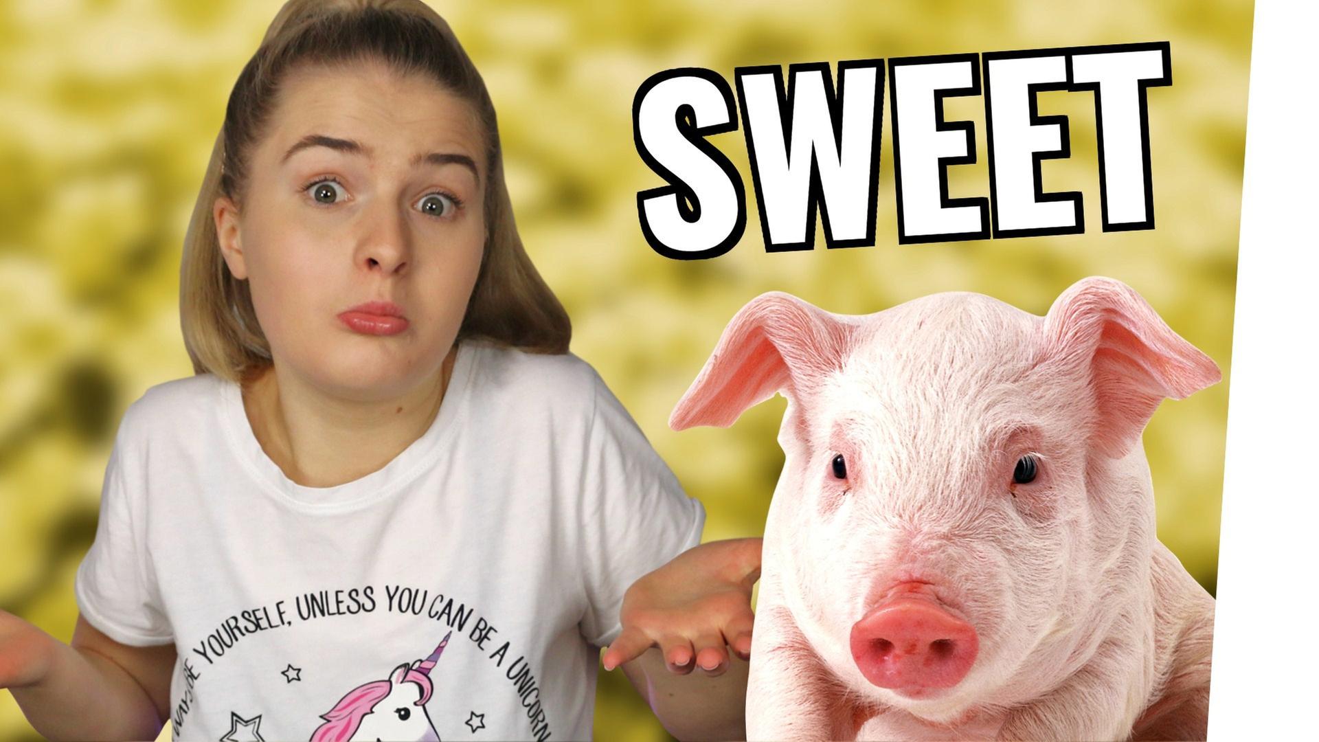 Mein neues HAUSTIER... F&A - LiDiRo