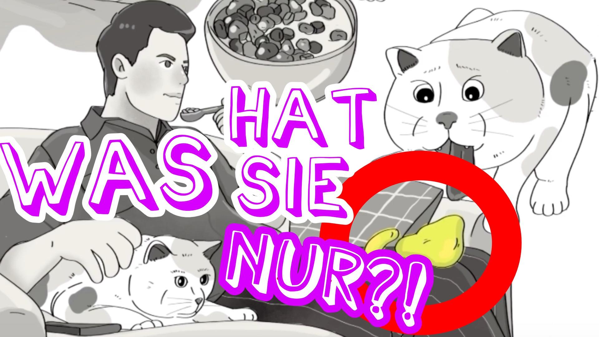 Meine Katze kotzte in mein Müsli - und dann wurde es mir kristallklar!