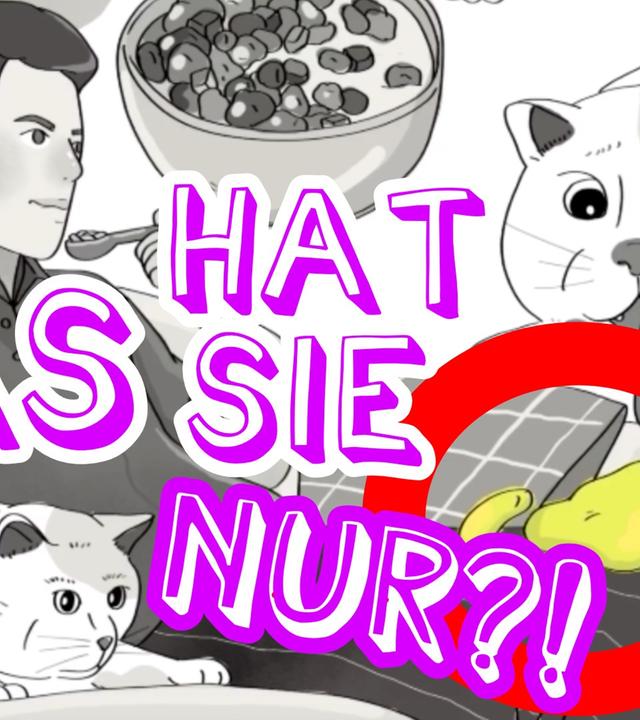 Meine Katze kotzte in mein Müsli - und dann wurde es mir kristallklar!