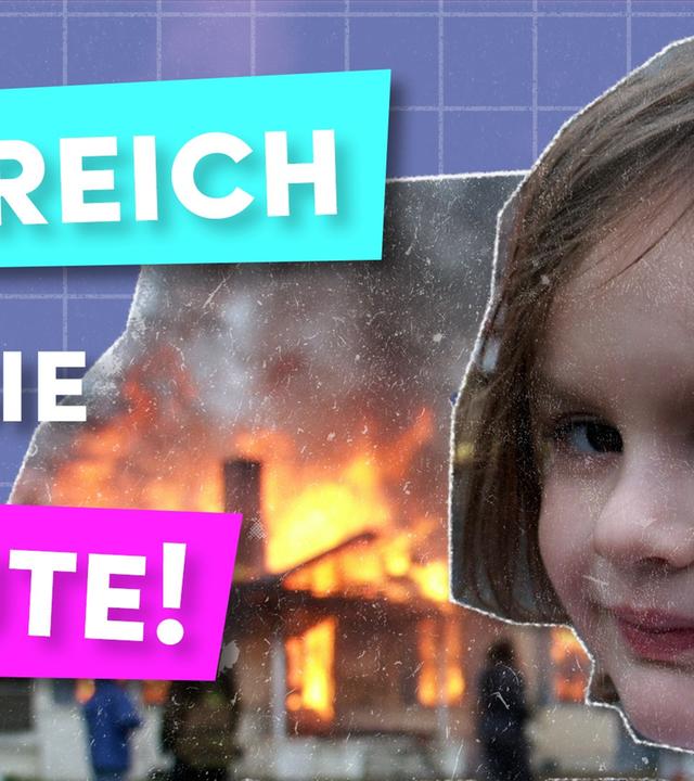 MEMES: Darum erobern sie die Welt! - Say What