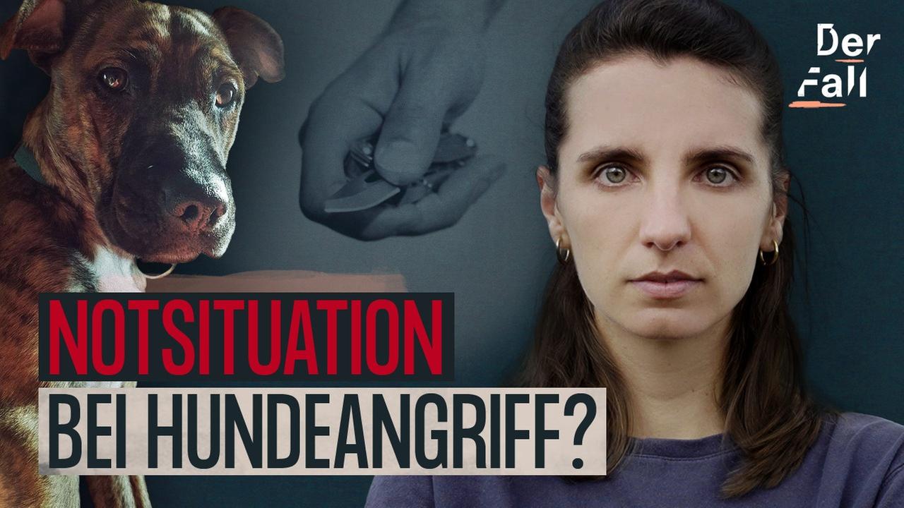 Messerattacke: Töten für den eigenen Hund - Der Fall Theo