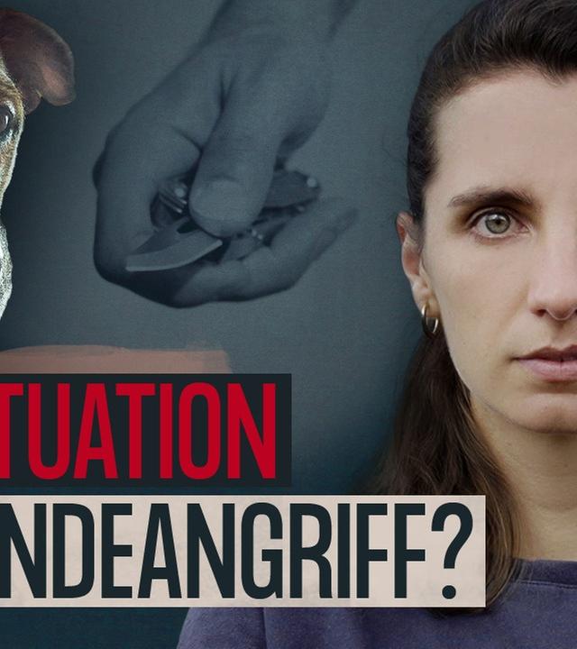 Messerattacke: Töten für den eigenen Hund - Der Fall Theo