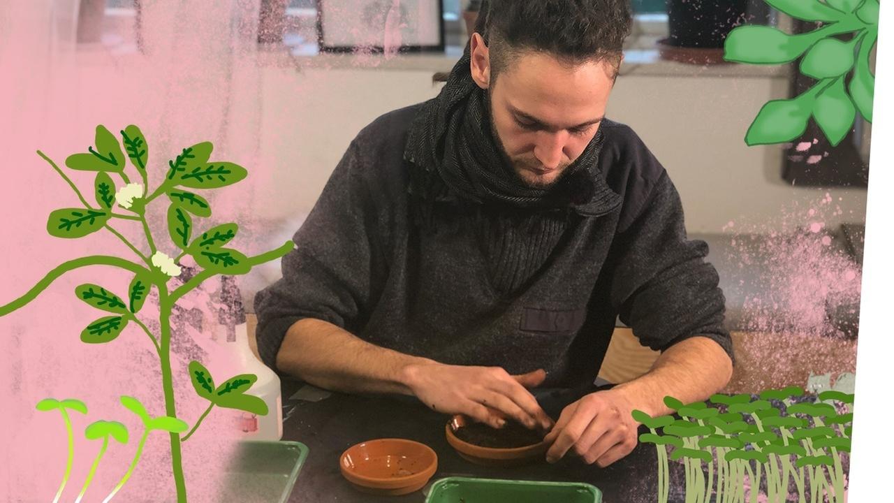 Microgreens – Gartenstart im Januar - Kliemannsland