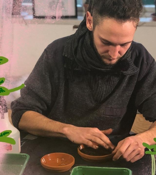 Microgreens – Gartenstart im Januar - Kliemannsland