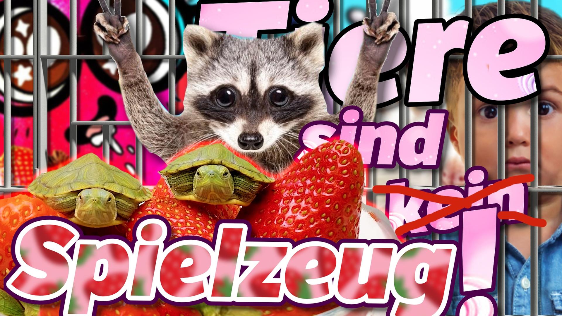 Mit WASCHBÄR in die TRENDS?! SCHLAUSCHLEIM SAM spielt mit SCHILDKRÖTEN und AMEISEN?!