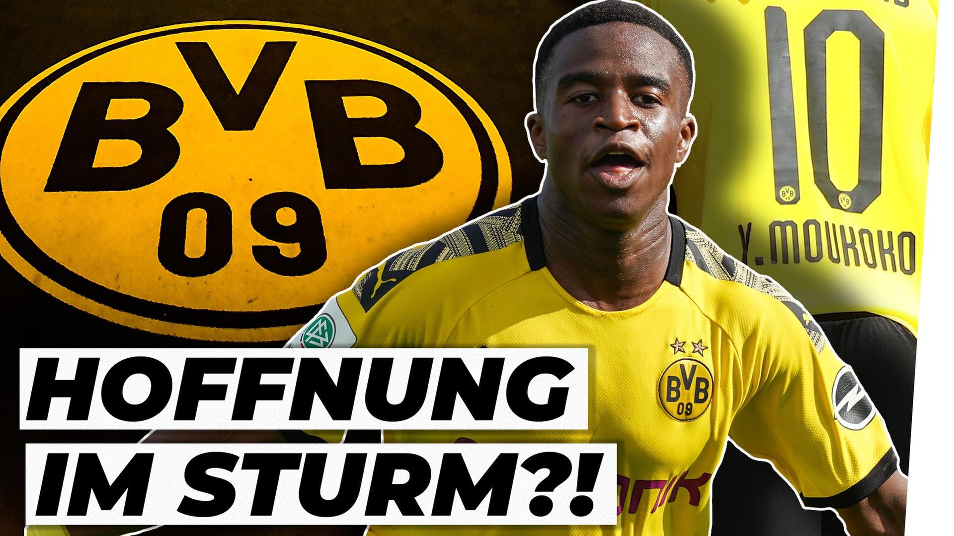 Moukoko: Die Pläne des BVB-Juwels! - Porträt