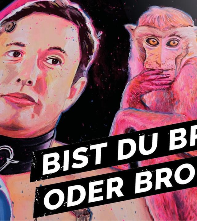 Muss ich an die Börse? 1,5 Mio. unter 30-Jährige sind im Aktienhype - Y-Kollektiv