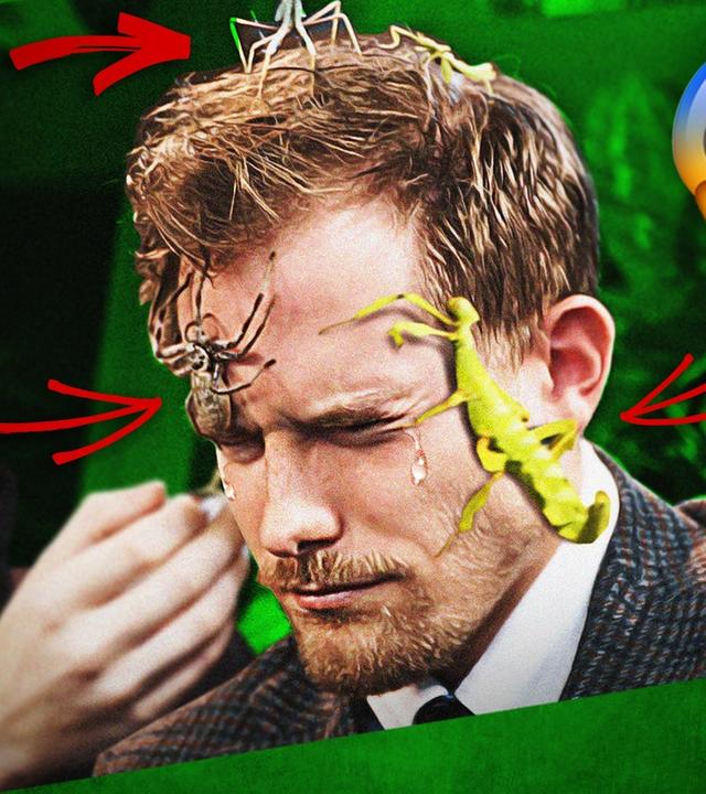 Mutprobe: INSEKTEN aufs GESICHT! - InsecthausTV zu Gast