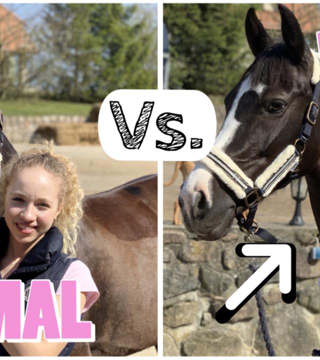 Normale Menschen vs. ICH beim reiten ????????‍️????