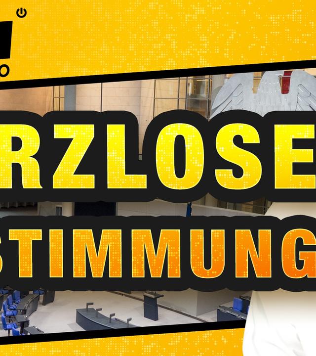 Organ-Handel im Bundestag - WALULIS DAILY Turbo