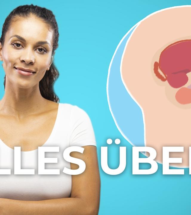 Penis, Hoden, Prostata: Die männlichen Geschlechtsorgane