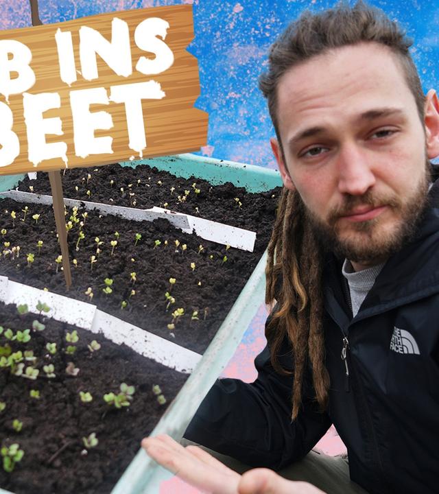 Pikieren von Pflanzen und Gemüse - Kliemannsland Garten