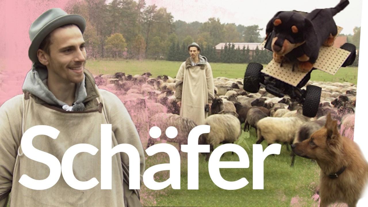 Pilotfolge: Fynn wollt schon immer mal – Schäfer für einen Tag - Kliemannsland