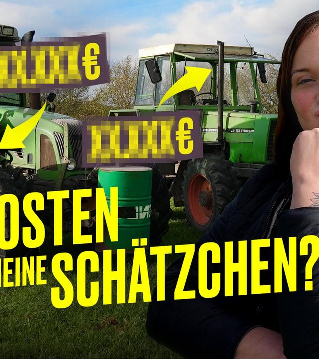 PREISE RATEN: SO teuer ist ein Traktor (Oldtimer ) I Hundert Hektar Heimat