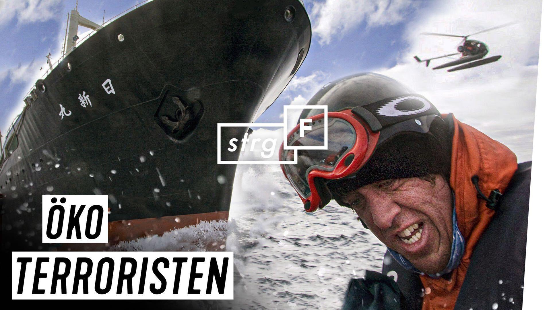 Radikal für Delfine: Wie weit geht Sea Shepherd? - STRG_F