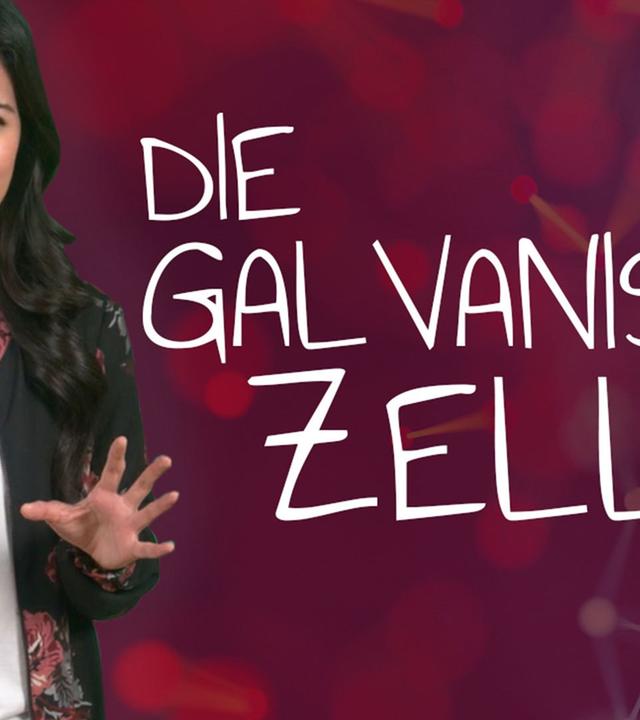 Redoxreaktion Teil 5 - Die Galvanische Zelle I musstewissen Chemie