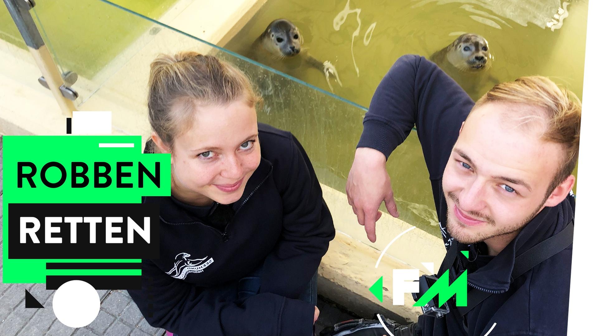 Robben-Babys retten: Abschied in die Freiheit