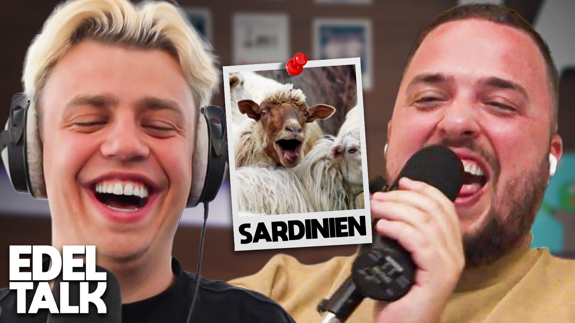 Schafe auf Sardinien (#359)