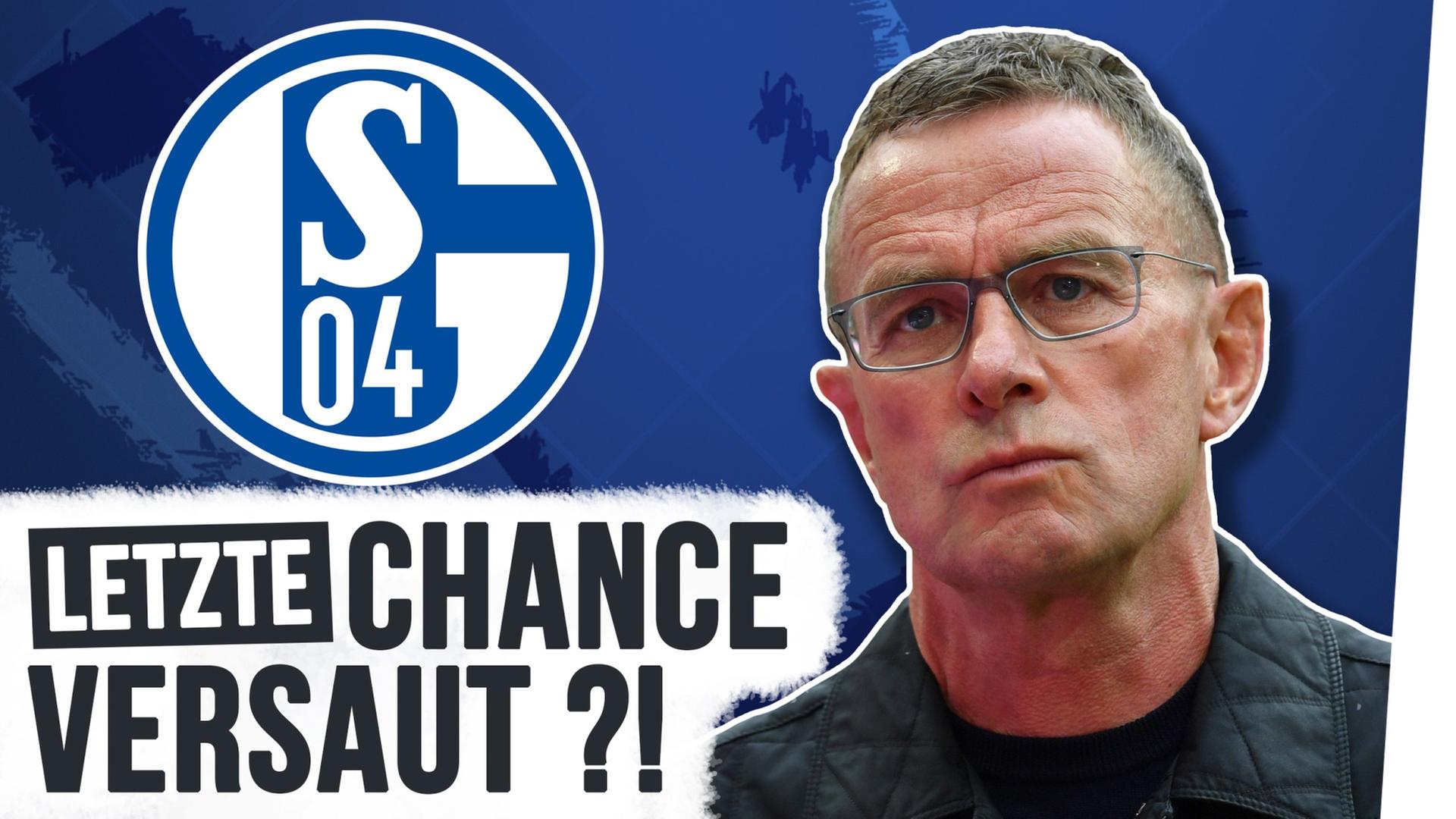 Schalke 04: Ohne Rangnick in den Abgrund?!