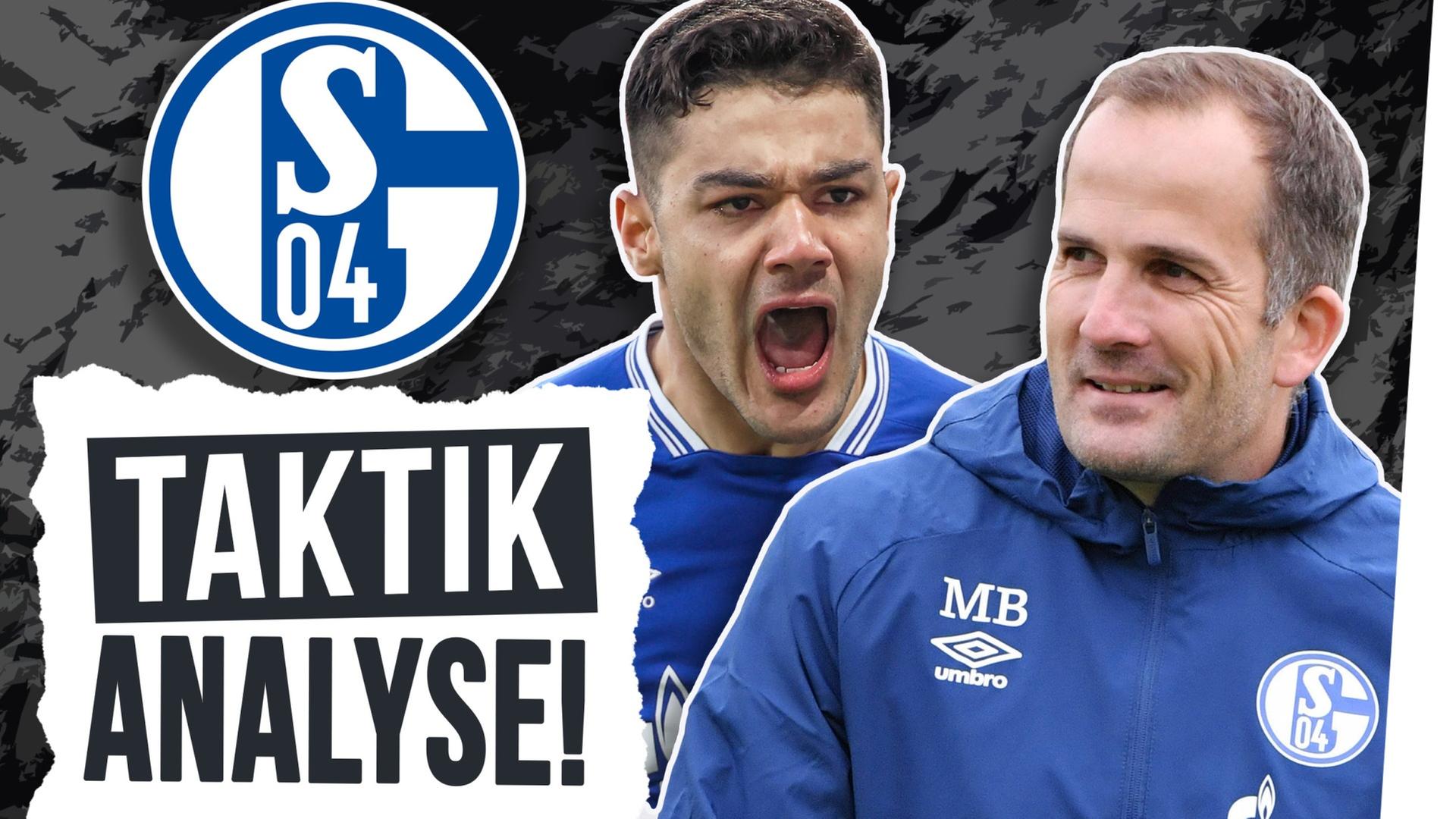 Schalke 04: Rettung oder Abstieg... packt's Baum?!