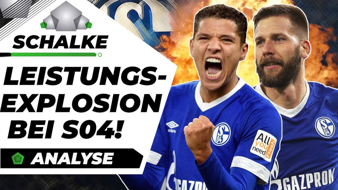 Schalke 04: So gelingt die Aufholjagd! - Analyse