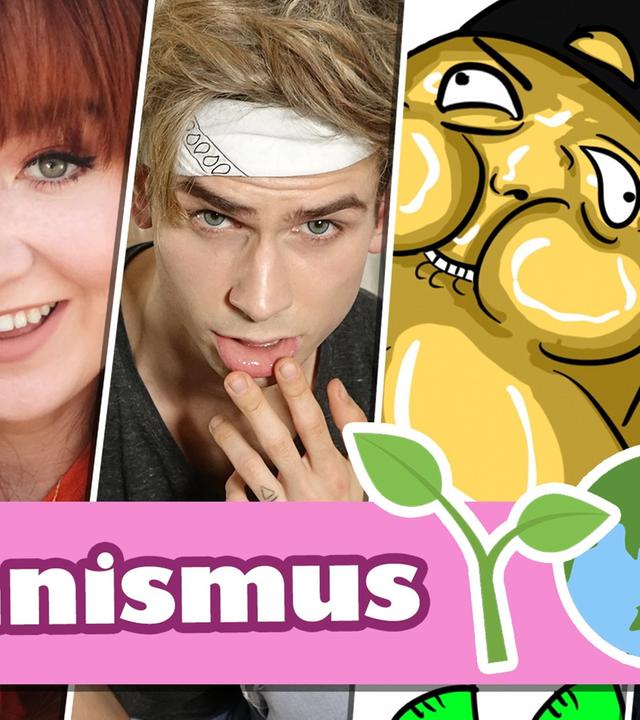 Seit einem Jahr vegan! Wie es wirklich ist!! ? ft. Unge, MiiMii, Mirella & darkviktory
