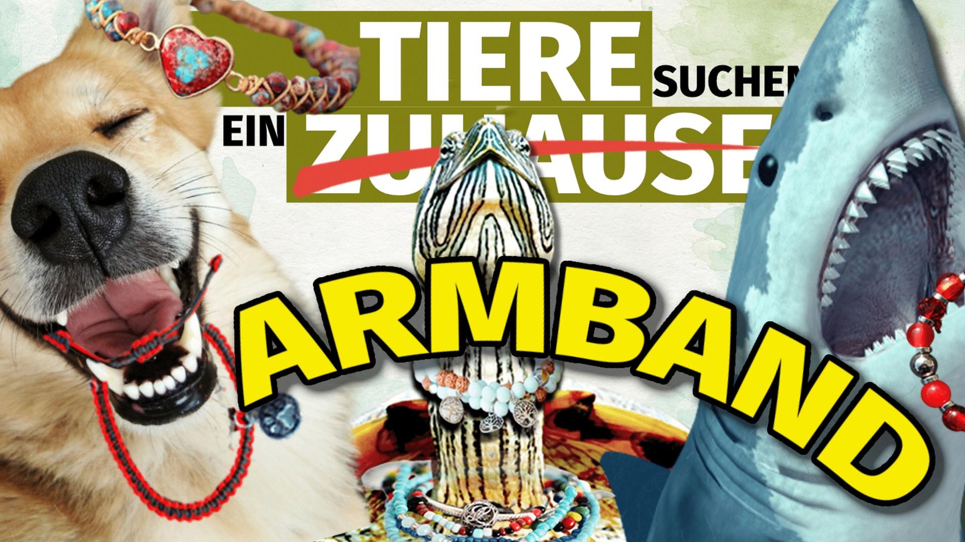 Shop panisch gelöscht?!  Wir testen Tierarmbänder - und fast alle fallen durch! 