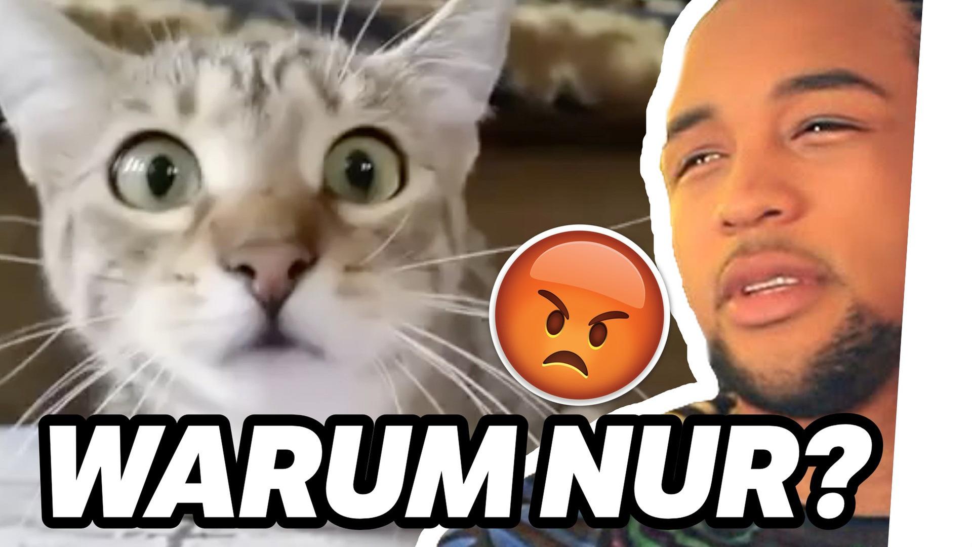 Simon Desue BETROGEN?! / Dner VERSCHWUNDEN ? / CLICKBAIT DES MONATS