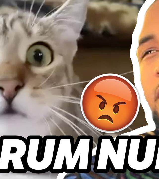 Simon Desue BETROGEN?! / Dner VERSCHWUNDEN ? / CLICKBAIT DES MONATS