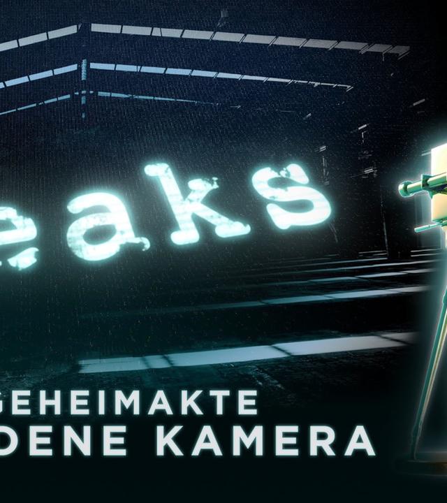 SKANDAL – Funke Mediengruppe missbraucht Youtuber