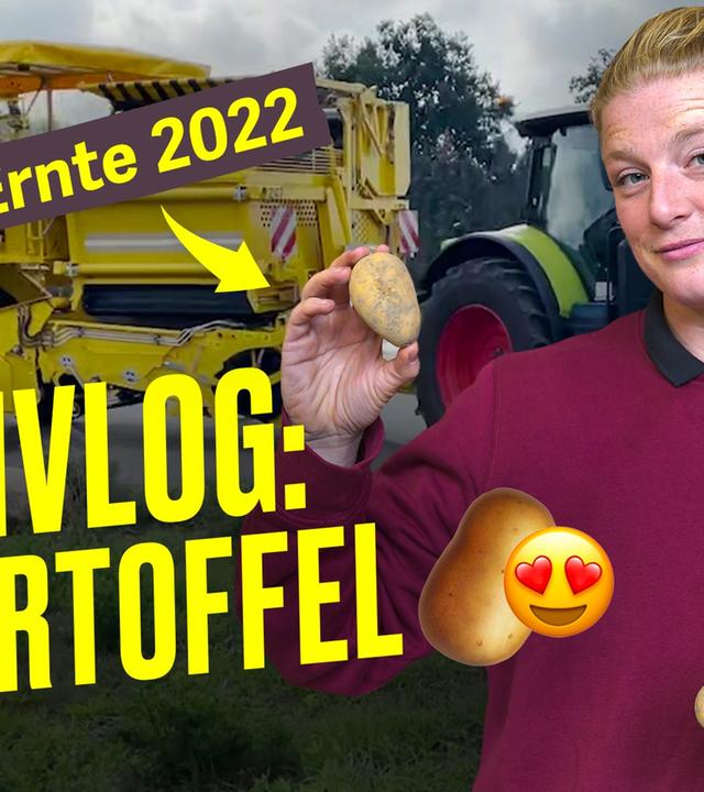 SO baut Landwirtin Josi Kartoffeln an + Ernte  I Hundert Hektar Heimat