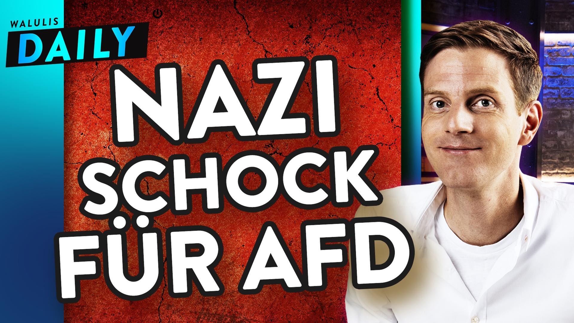 So panisch reagiert die AfD auf Pro7-Doku - WALULIS DAILY