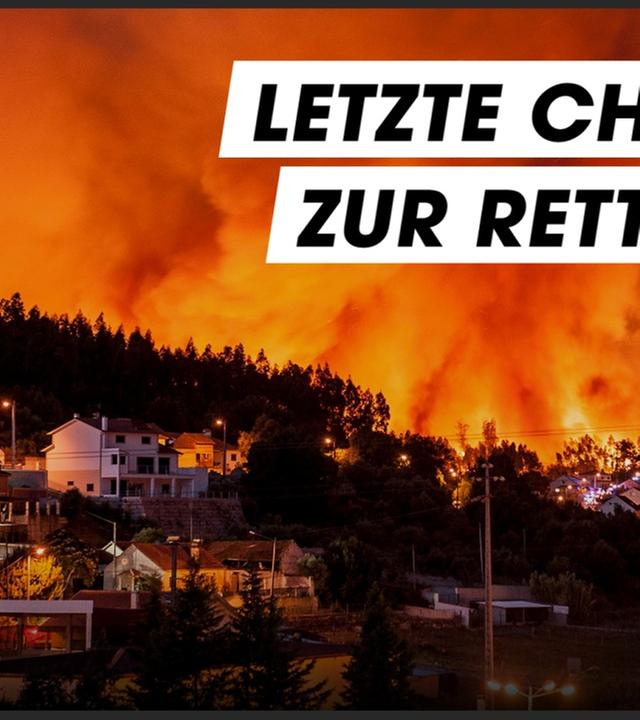 So wollen die Parteien das Klima retten