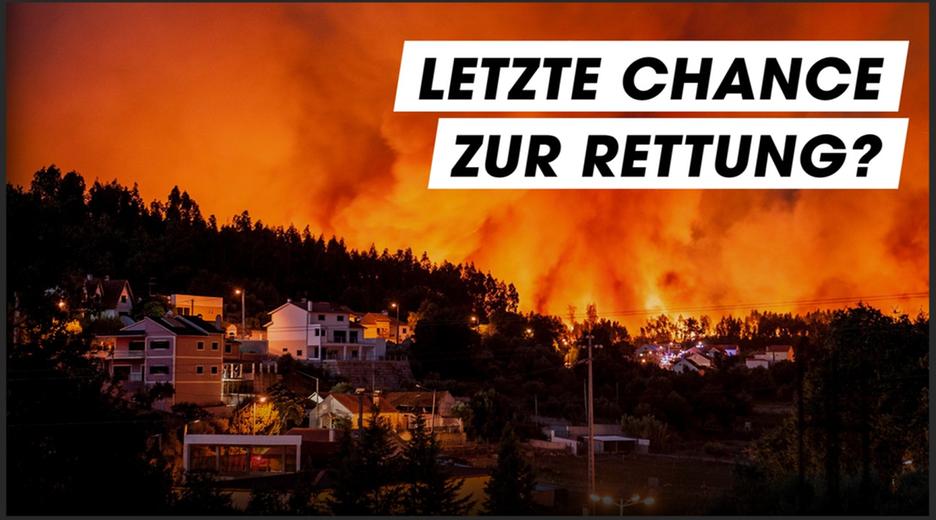 So wollen die Parteien das Klima retten