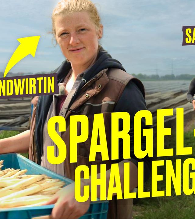 Spargelernte im Selbstversuch: SO hart ist es wirklich I Hundert Hektar Heimat