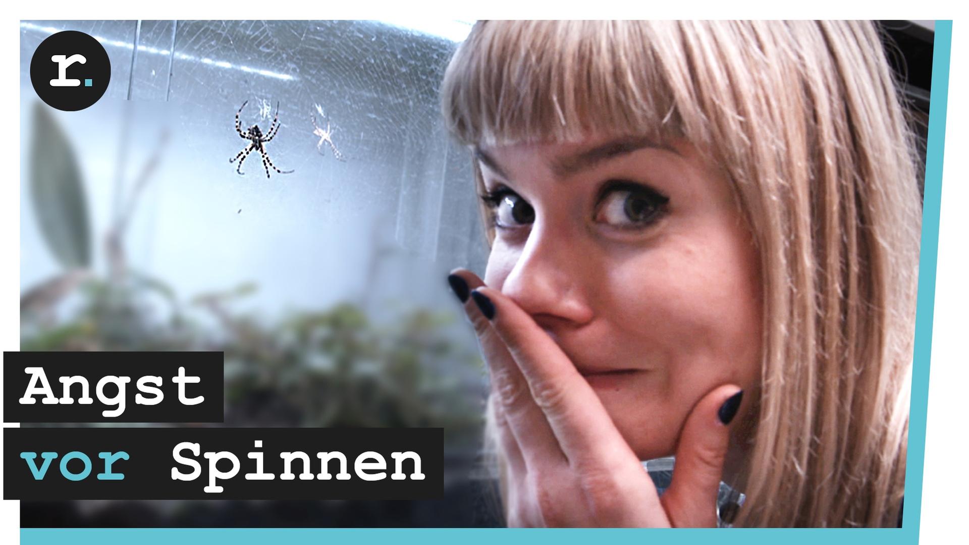 Spinnen – wie ich meine Phobie bekämpfe
