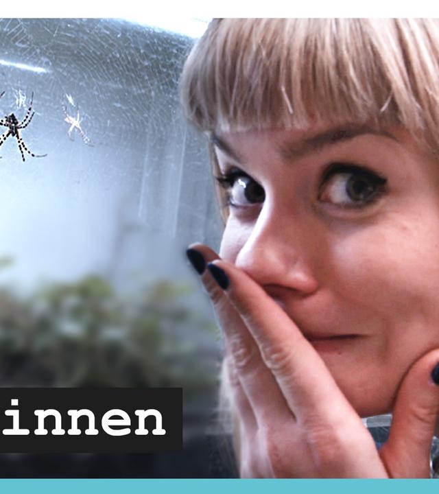 Spinnen – wie ich meine Phobie bekämpfe