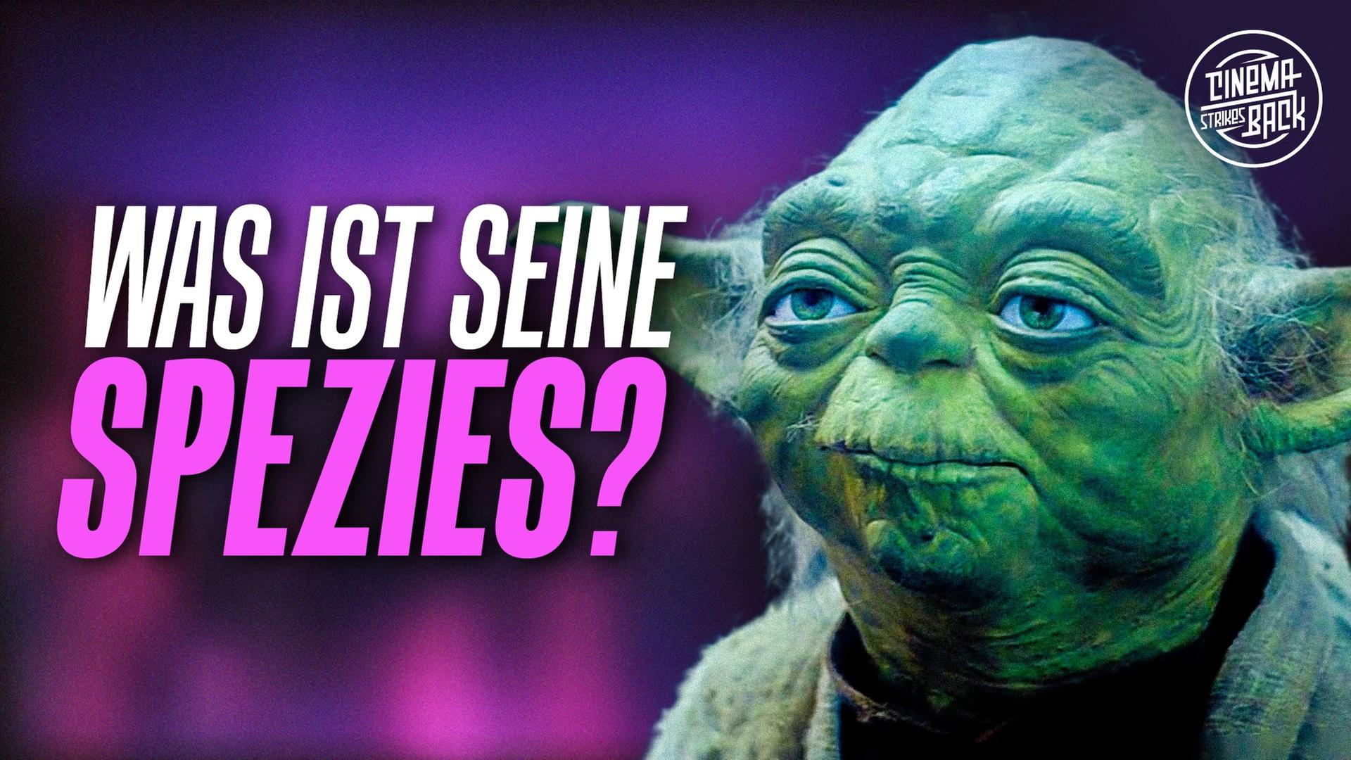 STAR WARS: WAS GENAU ist eigentlich YODA?