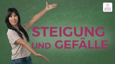 Steigung berechnen I musstewissen Mathe