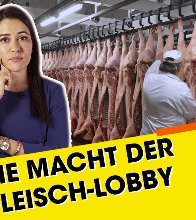 Stoppt die Ausbeutung in der Fleisch-Industrie!