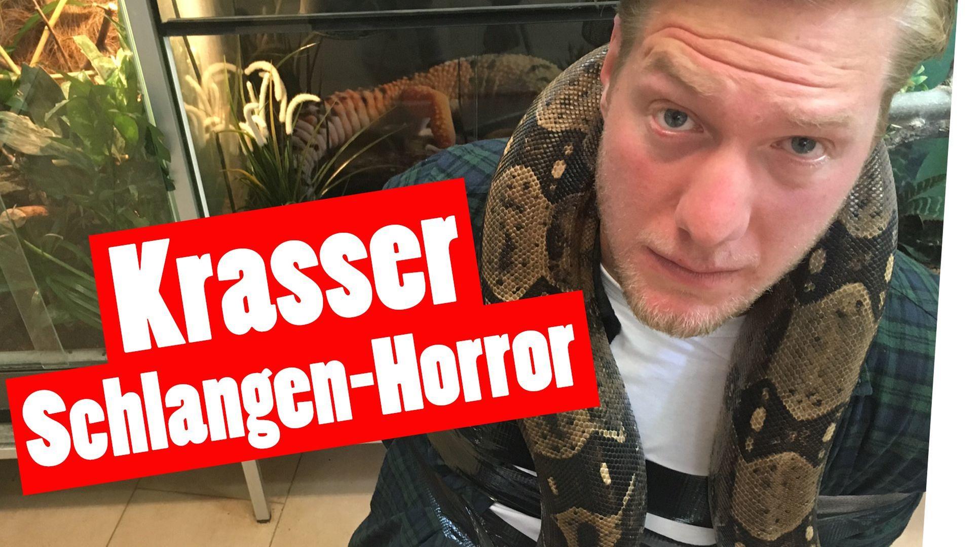 Strafe „Das schaffst Du nie!“: Krasser Schlangen-Horror