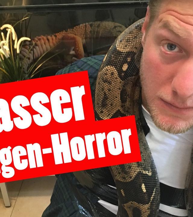 Strafe „Das schaffst Du nie!“: Krasser Schlangen-Horror
