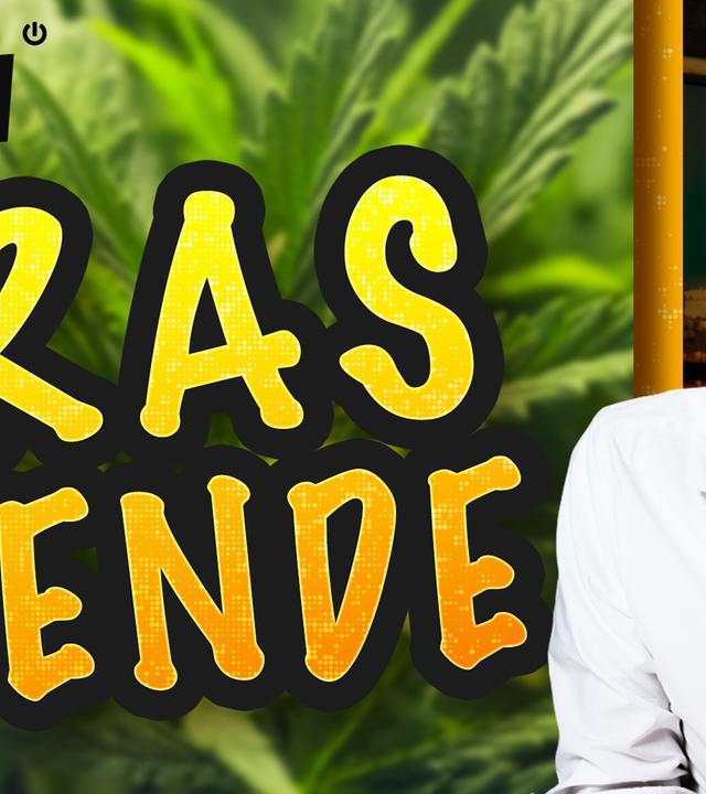 Straffrei Kiffen: Mehrheit im Bundestag möglich - WALULIS DAILY