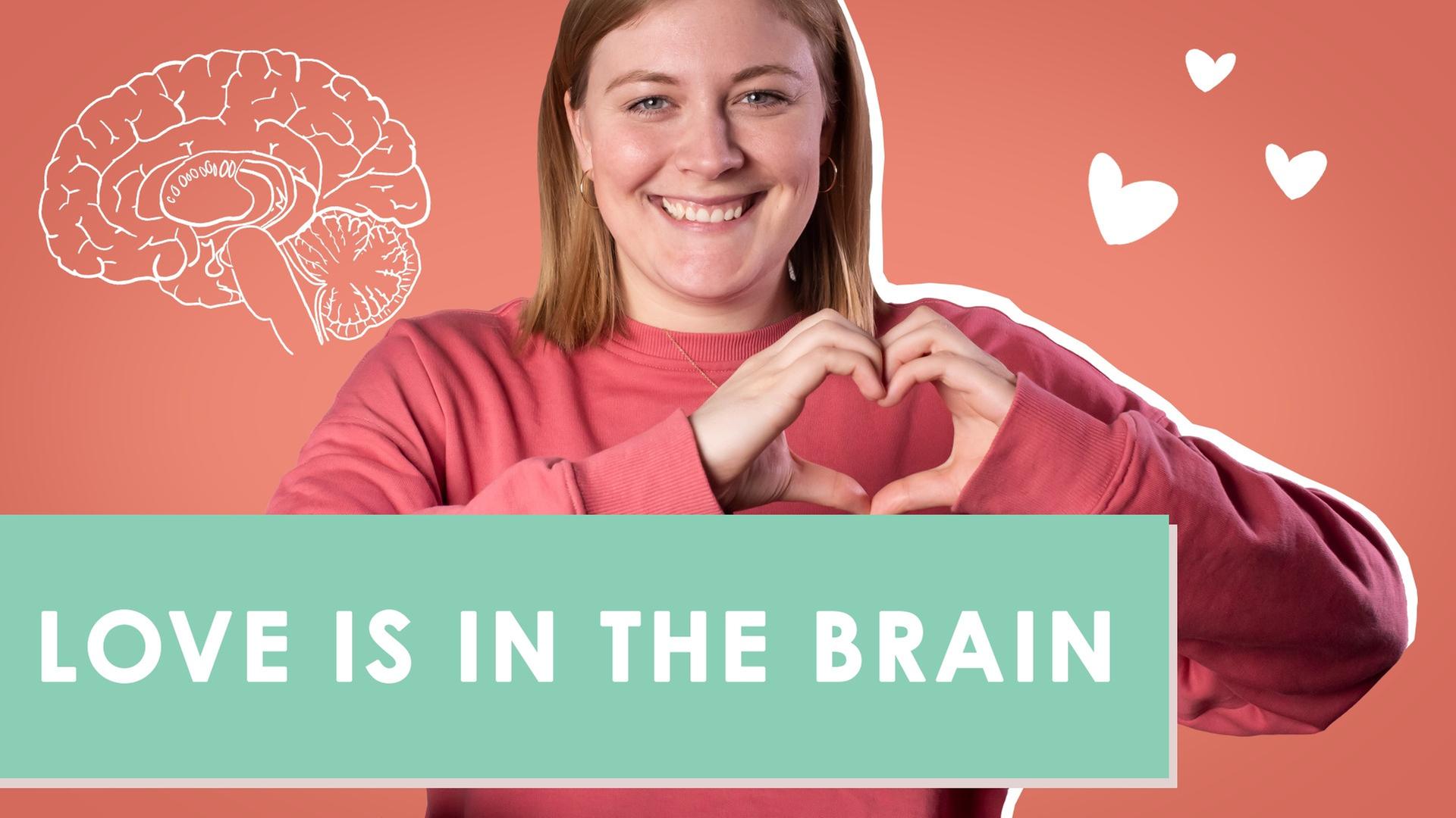 Stress pur! - das passiert mit uns, wenn wir uns verlieben