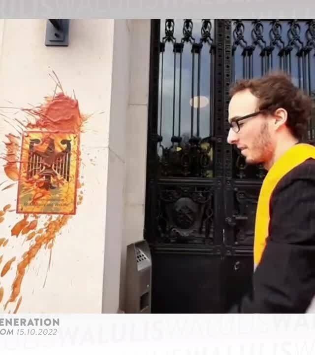 Suppen-Angriff auf Van Gogh triggert Verschwörungen- WALULIS DAILY