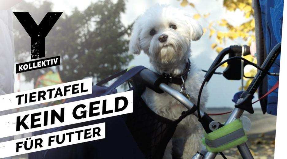 Tiertafel - Wenn das Geld für Futter und Tierarzt nicht reicht