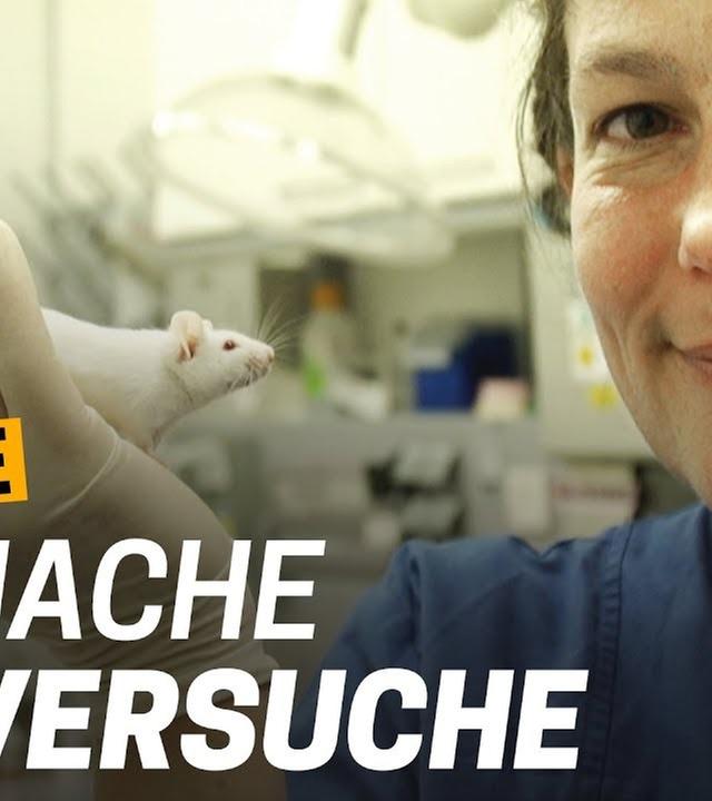Tierversuche Doku: Warum brauchen wir Tierversuche? - Warum lassen wir Tiere leiden? Folge 4